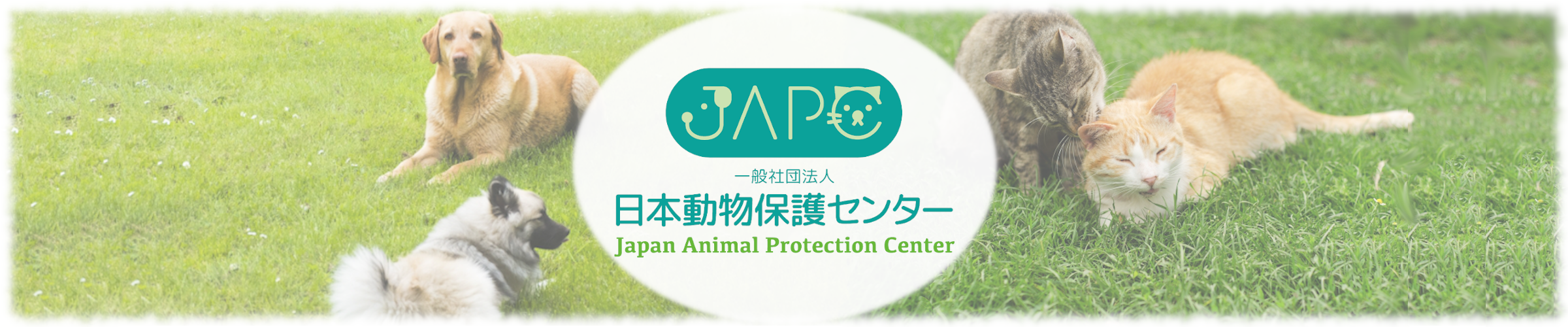 一般社団法人日本動物保護センター